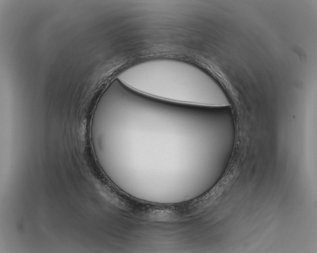 X0000113560066200909181029