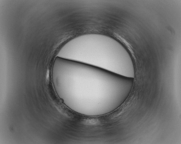 X0000113560067200909181029