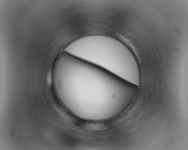 X0000113560069200909181030