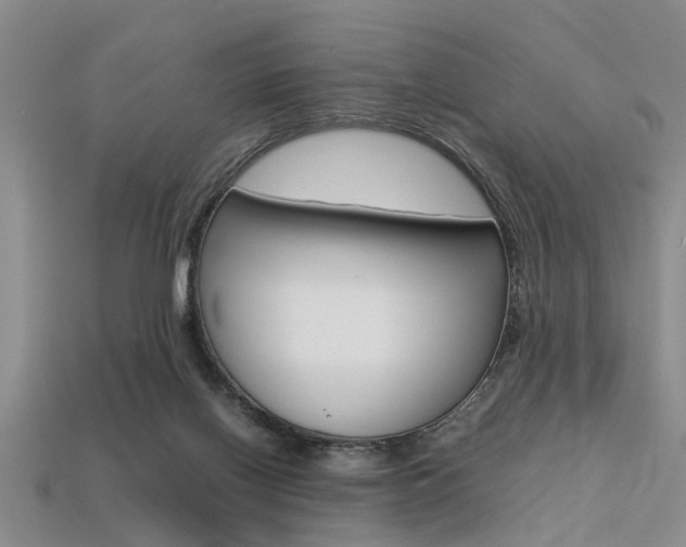 X0000113560070200909181030