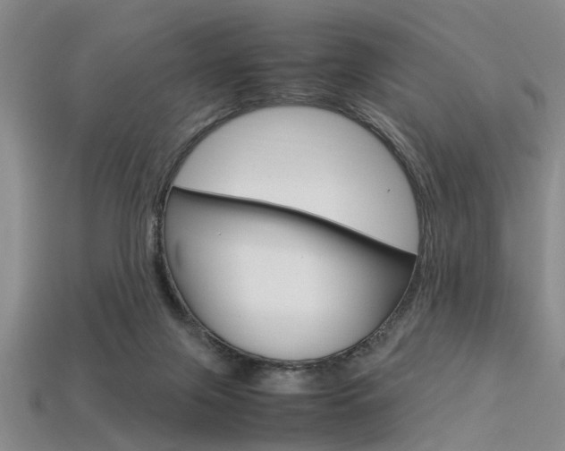 X0000113560071200909181030
