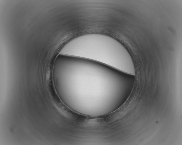 X0000113560072200909181030