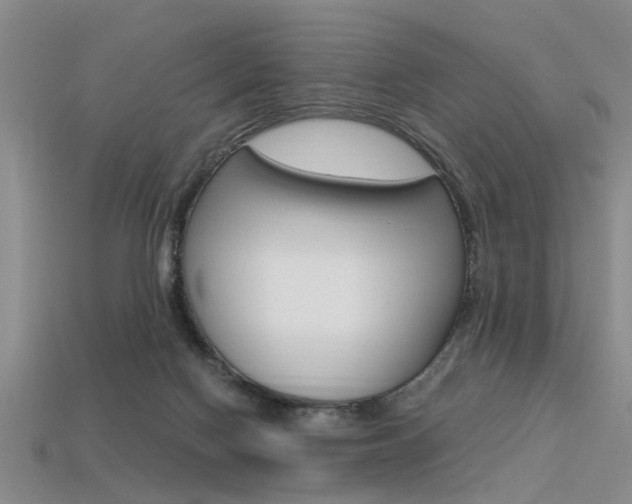 X0000113560074200909181030