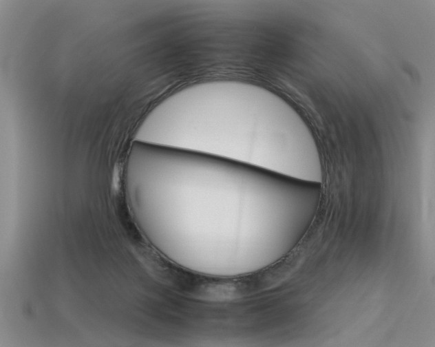 X0000113560075200909181030
