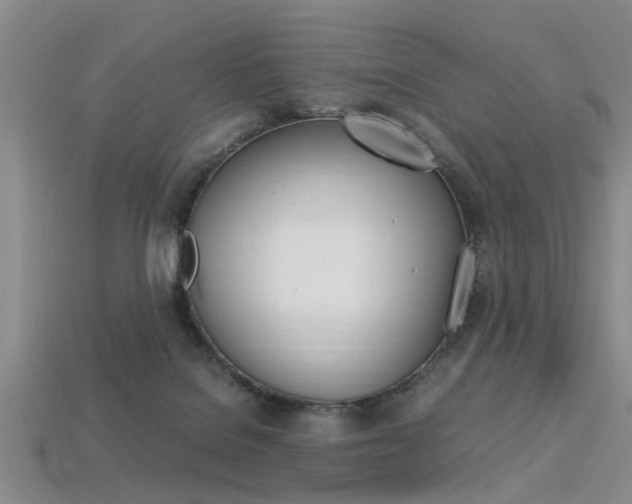 X0000113560076200909181030