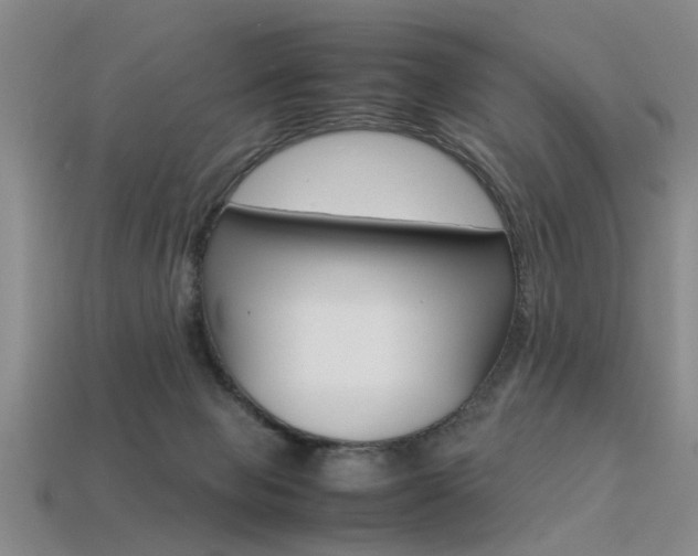 X0000113560077200909181030