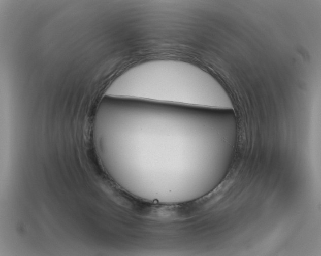 X0000113560078200909181030