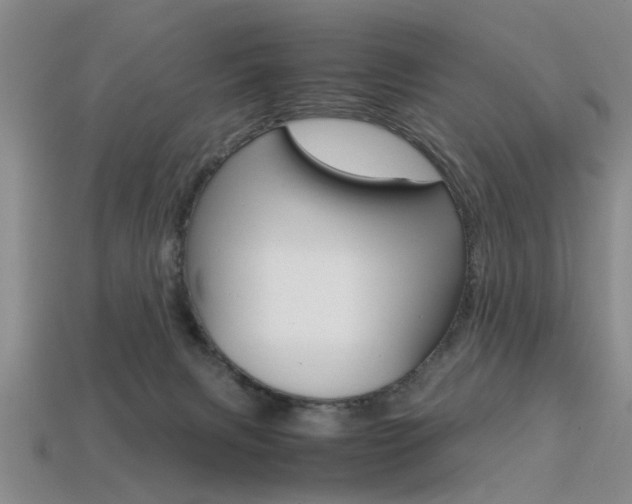 X0000113560079200909181030