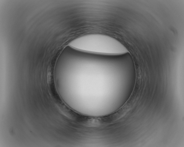 X0000113560080200909181030