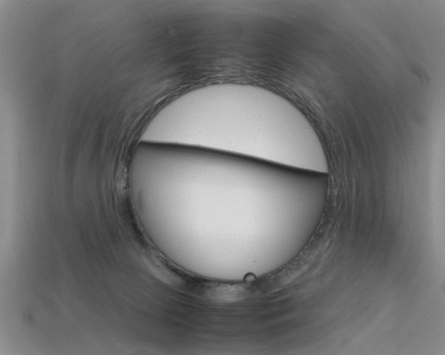 X0000113560081200909181030
