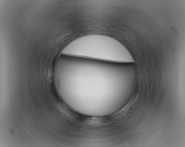 X0000113560082200909181030