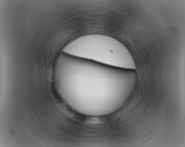 X0000113560083200909181030