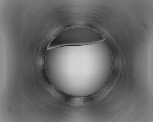 X0000113560084200909181030