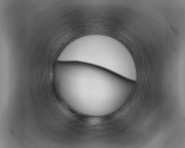 X0000113560085200909181030