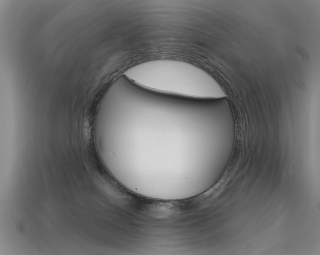 X0000113560086200909181030