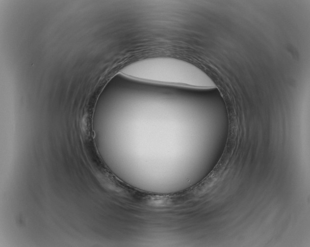 X0000113560088200909181030