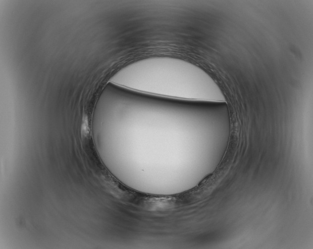 X0000113560089200909181030