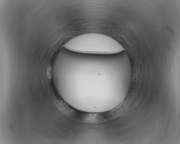 X0000113560090200909181030