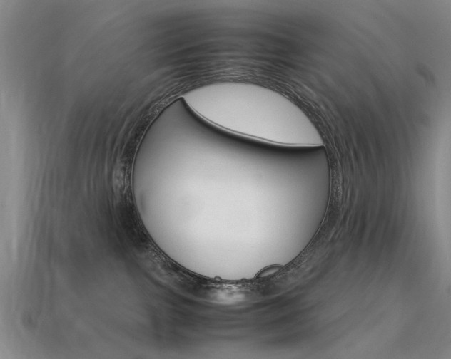 X0000113560091200909181030