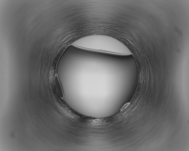X0000113560092200909181030