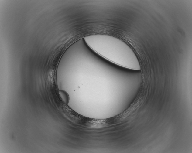X0000113560093200909181030