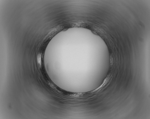 X0000113560094200909181030