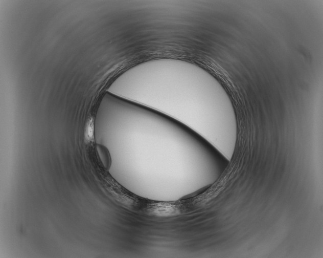X0000113560095200909181030