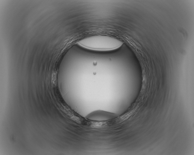 X0000113560096200909181030