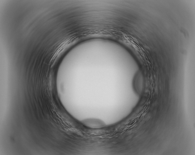 X0000113560098200909181029