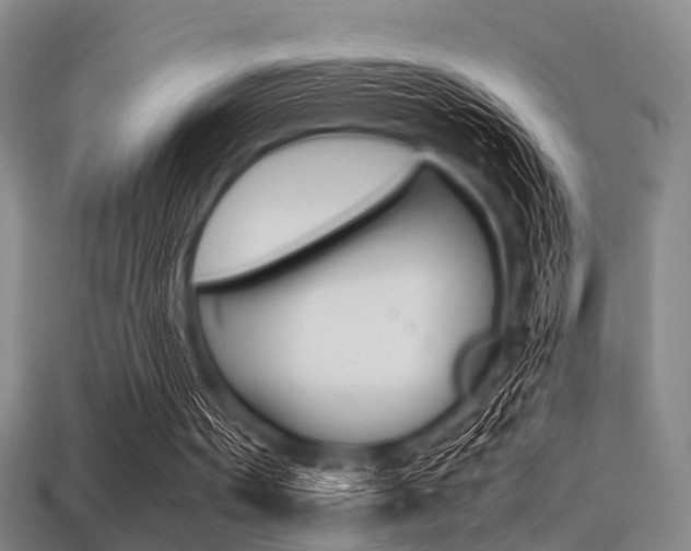 X0000113560099200909181029
