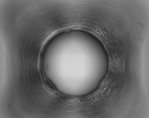 X0000113560100200909181029