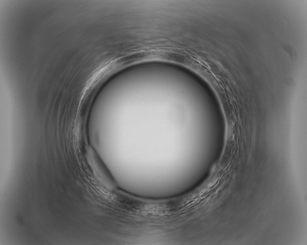 X0000113560101200909181029