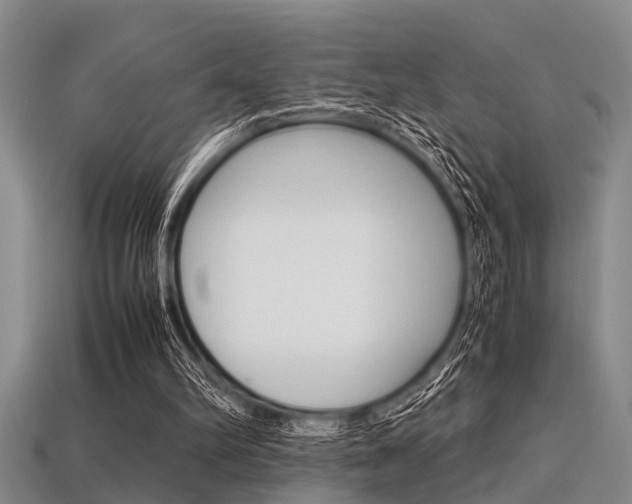 X0000113560102200909181029