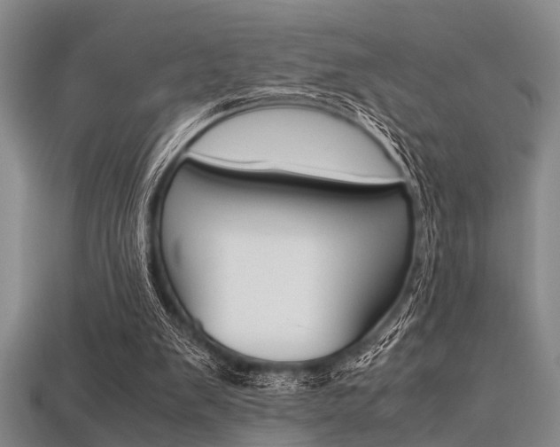 X0000113560103200909181029