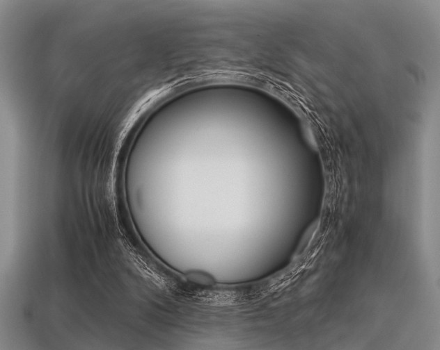X0000113560104200909181029