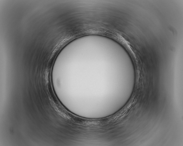 X0000113560106200909181029