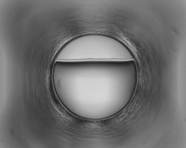X0000113560107200909181029