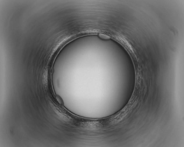 X0000113560108200909181029