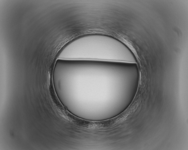 X0000113560109200909181029