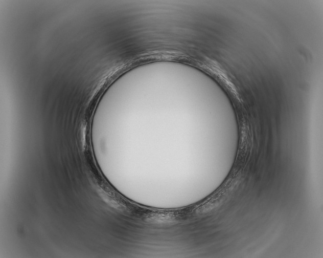 X0000113560110200909181029