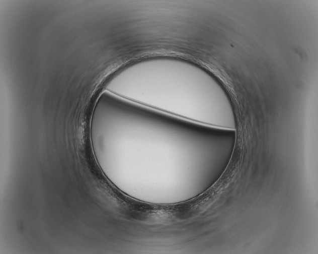X0000113560111200909181029