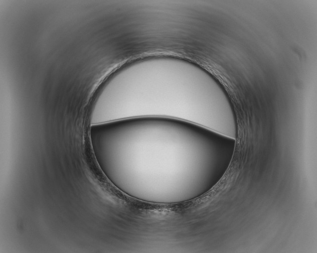 X0000113560112200909181029