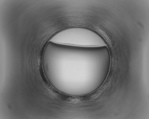 X0000113560113200909181029