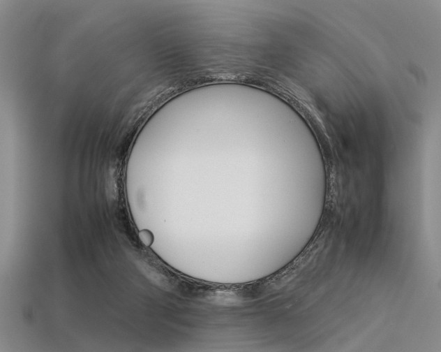 X0000113560114200909181029