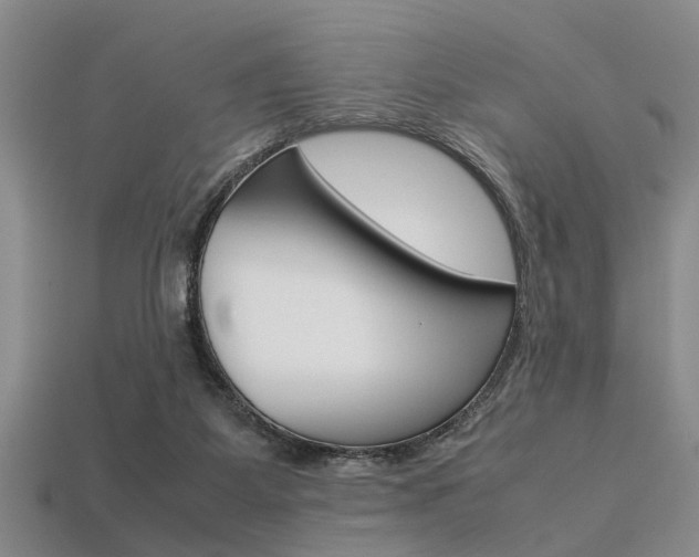 X0000113560115200909181029