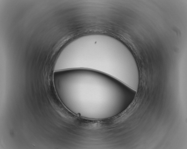 X0000113560116200909181029