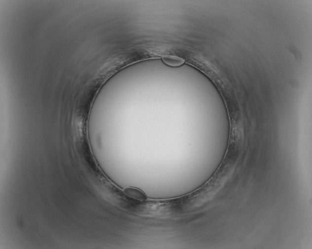 X0000113560117200909181029