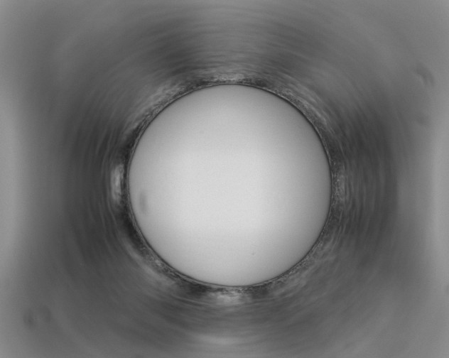 X0000113560118200909181029