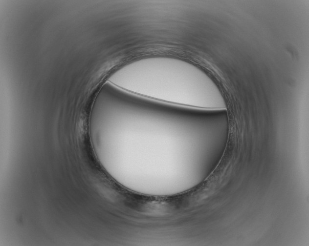 X0000113560119200909181029