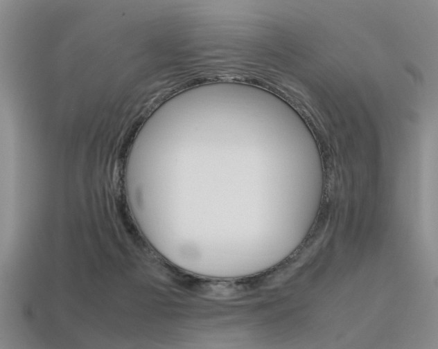 X0000113560121200909181029